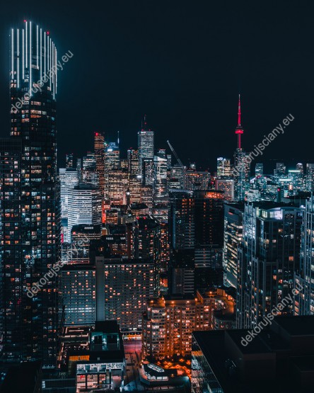 Wzornik fototapety z widokiem na panoramę miasta Toronto w mrocznej scenerii. Fototapeta do pokoju dziennego, sypialni, salonu, biura, gabinetu, przedpokoju i jadalni.