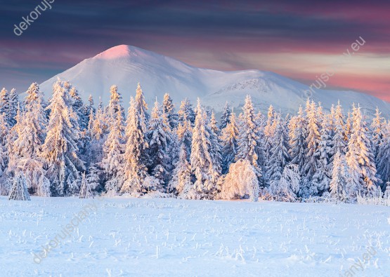 Wzornik fototapety przedstawia zimową porę. Góry i las pokryte śniegiem o wschodzie słońca. Fototapeta do salonu, sypialni, pokoju dziennego, gabinetu, biura, przedpokoju.