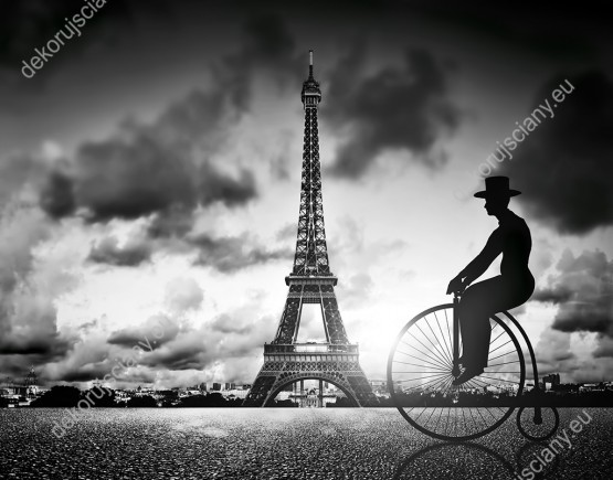 Wzornik, czarno-biała fototapeta z motywem mężczyzny jadącego na rowerze retro w okolicach Wieży Eiffla, w Paryżu. Fototapeta w nowoczesnym stylu do pokoju młodzieżowego, salonu, sypialni a nawet biura.