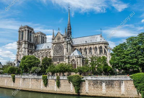 Wzornik fototapety z widokiem na gotycką Katedrę Notre Dame w Paryżu, wśród bujnej zieleni. Katedra jest jedną z najbardziej znanych na całym świecie. Fototapeta do salonu, sypialni, pokoju dziennego, gabinetu, biura, przedpokoju.