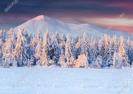 Wzornik obrazu przedstawia zimową porę. Góry i las pokryte śniegiem o wschodzie słońca. Obraz do salonu, sypialni, pokoju dziennego, biura, gabinetu, przedpokoju.