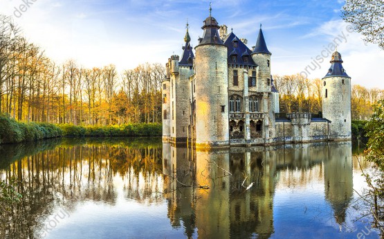 Wzornik obrazu z pięknym średniowiecznym zamkiem w Belgii. Obraz do sypialni, salonu, pokoju dziennego, biura, gabinetu, przedpokoju, jadalni.