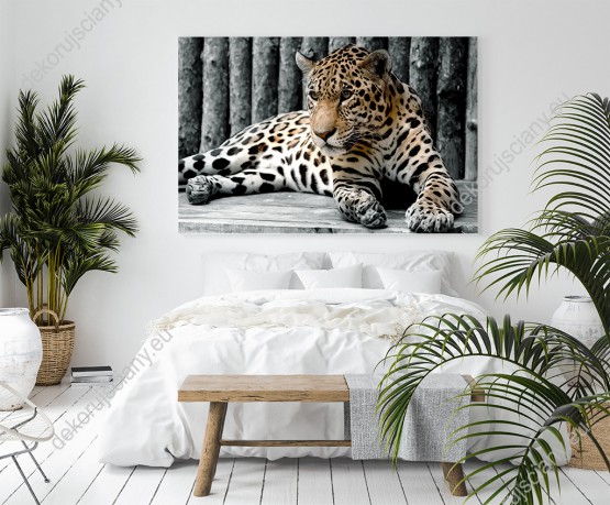 Wizualizacja obrazu z odpoczywającym leopardem. Obraz do pokoju dziennego, dziecięcego, młodzieżowego, sypialni, salonu, biura, gabinetu, przedpokoju i jadalni.