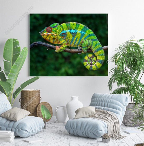 Wizualizacja obrazu do pokoju dziennego, dziecięcego, młodzieżowego, salonu, sypialni, przedpokoju, biura. Obraz prezentuje barwnego, pasiastego kameleona gatunku pantera, siedzącego na gałęzi, na rozmytym tle zielonej dżungli.