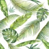Wizualizacja tapety do pokoju dziennego, sypialni, salonu, przedpokoju, biura z motywem egzotycznych roślin. Tapeta w tropikalnym klimacie przedstawia liście palm i bananowca, na białym tle.