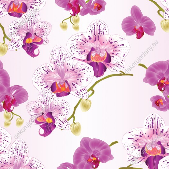 Wizualizacja tapety do pokoju dziennego, dziecięcego, młodzieżowego, sypialni, salonu, przedpokoju, biura. Tapeta przedstawia pstrokate i różowe storczyki (orchidee), na różowym tle.