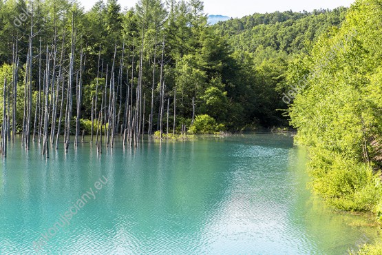 Wzornik fototapety panoramę wiosennych drzew okalających turkusowe jezioro. Fototapeta do pokoju dziennego, sypialni, salonu, biura, gabinetu, przedpokoju i jadalni.