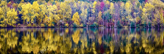 Wzornik fototapety z panoramą jesiennego lasu odbijającego się w lustrze jeziora. Fototapeta do pokoju dziennego, sypialni, salonu, biura, gabinetu, przedpokoju i jadalni.