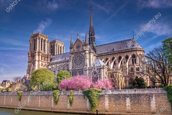 Wzornik fototapety z widokiem na Katedrę Notre-Dame w Paryżu wiosną. Rodzaj takiej fototapety świetnie sprawdzi się w pokoju dziennym, salonie, sypialni, przedpokoju, jadalni, biurze.