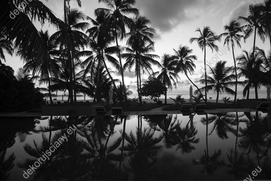 Wzornik czarno-białej fototapety z widokiem na tropikalny krajobraz palm na piaszczystej plaży odbite w tafli wody. Fototapeta do pokoju dziennego, sypialni, salonu, biura, gabinetu, przedpokoju i jadalni.