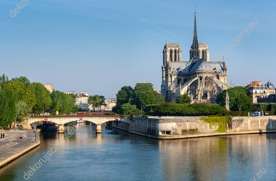Wzornik fototapety z widokiem na malowniczo położoną katedrę Notre Dame w Paryżu. Fototapeta do pokoju dziennego, sypialni, salonu, biura, gabinetu, przedpokoju i jadalni.