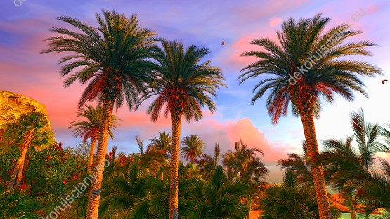 Wzornik barwnej fototapety z widokiem palm w hawajskim raju. Fototapeta do pokoju dziennego, salonu, sypialni, biura, przedpokoju.