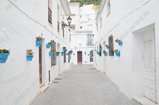 Wzornik fototapety z widokiem ulicy miasta w Andaluzji, w Hiszpanii. Białe domy zdobią niebieskie doniczki z kwiatami. Fototapeta przeznaczona do salonu, sypialni, pokoju dziennego, gabinetu, biura, przedpokoju, optycznie powiększa pomieszczenie.