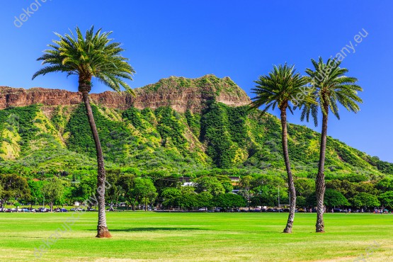 Wzornik fototapety z widokiem zielonych palm, gór i błękitnego nieba na Hawajach. Rodzaj takiej fototapety świetnie sprawdzi się w pokoju dziennym, salonie, sypialni, przedpokoju, jadalni, biurze.
