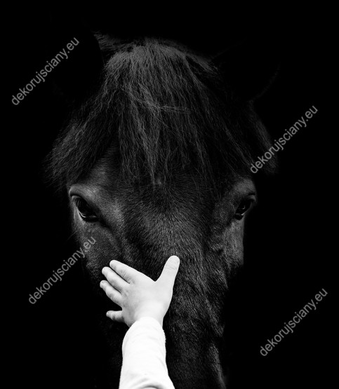 Wzornik, czarno-biały obraz przedstawia rękę dziecka głaszczącą głowę czarnego konia. Obraz do pokoju dziennego, dziecięcego, młodzieżowego, sypialni, salonu, biura, gabinetu, przedpokoju i jadalni.