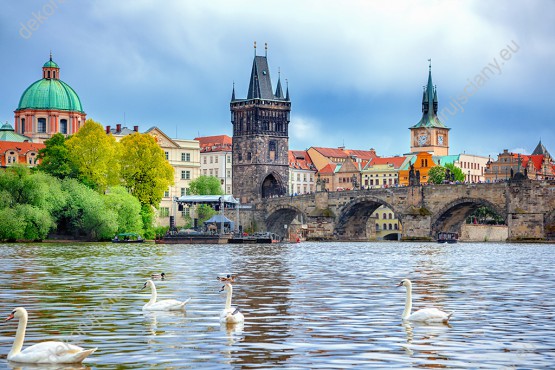 Wzornik obrazu z panoramą Pragi nad rzeką Wełtawą i pływającymi łabędziami. Obraz do pokoju dziennego, sypialni, salonu, biura, gabinetu, przedpokoju i jadalni.