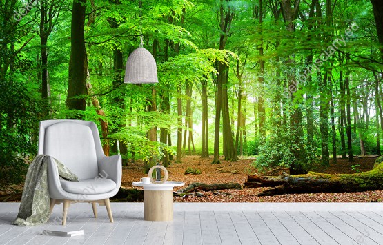 Wizualizacja, soczysta zieleń lasu o świcie ładnie zaprezentuje się na ścianie w pokoju dziennym, salonie, sypialni lub w gabinecie.