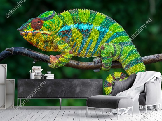 Wizualizacja fototapety do pokoju dziennego, dziecięcego, młodzieżowego, sypialni, salonu, przedpokoju, biura. Fototapeta prezentuje barwnego, pasiastego kameleona gatunku pantera, siedzącego na gałęzi, na rozmytym tle zielonej dżungli.