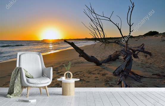 Wizualizacja fototapety z widokiem na przewrócone drzewo na piaszczystej plaży, oświetlonej promieniami zachodzącego słońca. Fototapeta do pokoju dziennego, sypialni, salonu, biura, gabinetu, przedpokoju i jadalni.