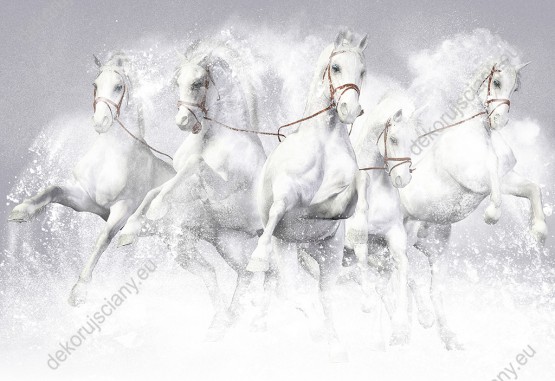 Wzornik fototapety do pokoju dziennego, dziecięcego, młodzieżowego, sypialni, salonu, biura. Fototapeta przedstawia białe konie galopujące w śniegu.
