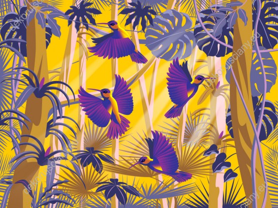 Wzornik fototapety do pokoju dziennego, dziecięcego, młodzieżowego, sypialni, salonu, biura z motywem tropikalnych ptaków. Fioletowo-żółta fototapeta przedstawia kolibry latające w zaroślach zielonej dżungli.