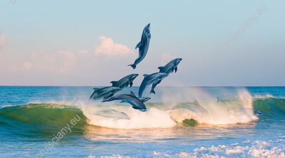 Wzornik fototapety do pokoju dziennego, dziecięcego, młodzieżowego, sypialni, salonu, biura. Fototapeta przedstawia delfiny skaczące nad wodami oceanu.