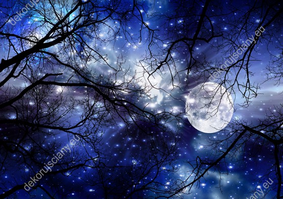 Wzornik fototapety do pokoju dziennego, dziecięcego, młodzieżowego, sypialni, salonu, biura. Piękna fototapeta z widokiem na błyszczący księżyc w pełni i rozgwieżdżone nocne niebo między gałęziami drzew.