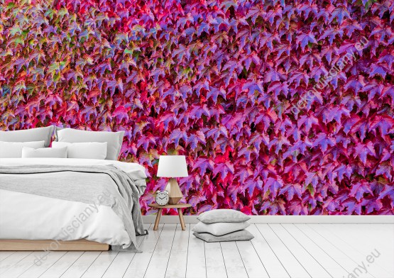 Wizualizacja fototapety przedstawia ścianę barwnych liści bluszczu. Fototapeta do pokoju dziennego, sypialni, salonu, biura, gabinetu, przedpokoju i jadalni.