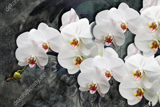 Wzornik fototapety z efektem 3D przedstawia gałązkę białych kwiatów orchidei na abstrakcyjnym tle. Fototapeta do pokoju dziennego, młodzieżowego, sypialni, salonu, biura, gabinetu, przedpokoju i jadalni.