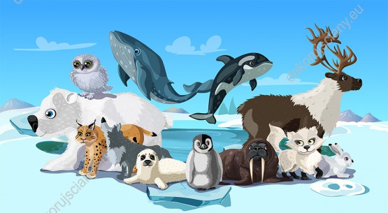 Wzornik fototapety do pokoju dziecięcego z różnymi zwierzętami: foką, pingwinem rysiem, sową śnieżną, królikiem, lisem, wilkiem, morsem, wielorybem, orką i reniferem, w mroźnym klimacie a Arktyki.