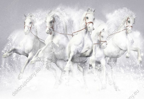 Wzornik obrazu do pokoju dziennego, młodzieżowego, dziecięcego, salonu, sypialni, biura. Obraz przedstawia białe konie galopujące w śniegu.