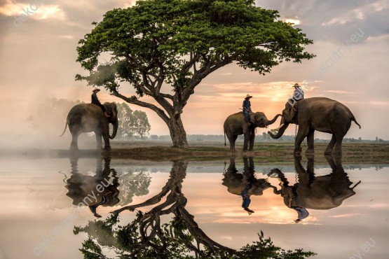 Wzornik obrazu z widokiem trzech słoni i siedzących na nich ludzi, stojących pod dużym drzewem. Pięknej scenerii towarzyszy również odbicie w tafli wody. Obraz do pokoju dziennego, młodzieżowego, dziecięcego, sypialni, salonu, biura