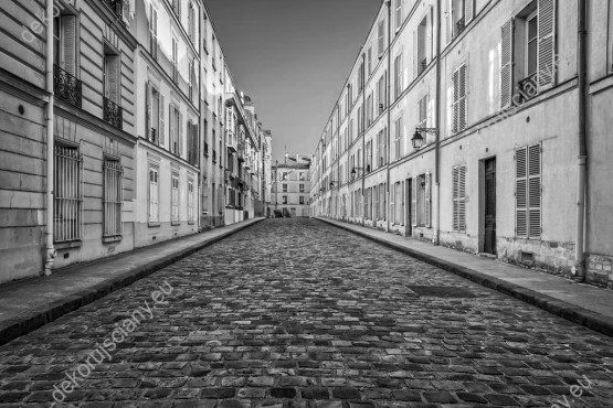 Wzornik, czarno-biały obraz z widokiem na paryską uliczkę. Obraz do pokoju dziennego, biura, salonu, sypialni, gabinetu, przedpokoju i jadalni.
