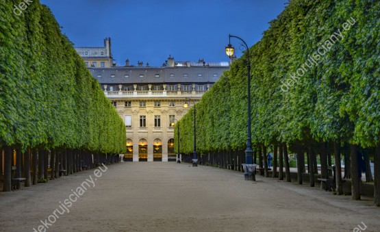 Wzornik obrazu z widokiem na pałac Królewski Palais Royal w Paryżu i prowadzącą do niego aleją drzew.  Obraz do pokoju dziennego, sypialni, salonu, biura, gabinetu, przedpokoju i jadalni.