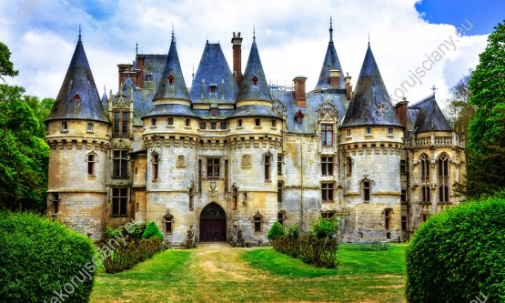 Wzornik obrazu z widokiem na wspaniały, piękny zabytkowy zamek we Francji otoczony zielenią. Obraz do pokoju dziennego, sypialni, salonu, biura, gabinetu, przedpokoju i jadalni.