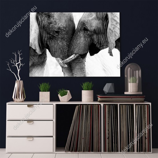 Wizualizacja, czarno-biały obraz do pokoju dziennego, dziecięcego, młodzieżowego, sypialni, salonu, biura, gabinetu, przedpokoju i jadalni z przedstawia dwa słonie stykające się trąbami.