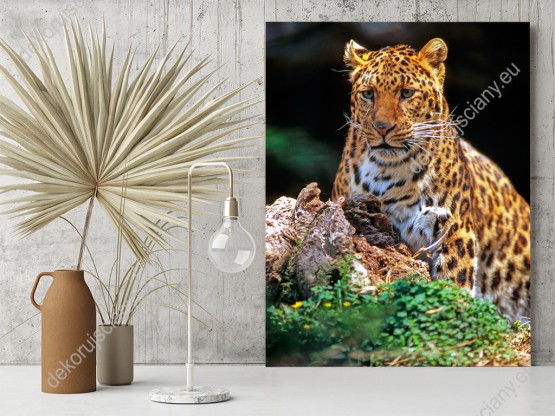 Wizualizacja obrazu do pokoju dziennego, dziecięcego, młodzieżowego, sypialni, salonu, biura, gabinetu, przedpokoju i jadalni z majestatycznym dzikim kotem - jaguarem.