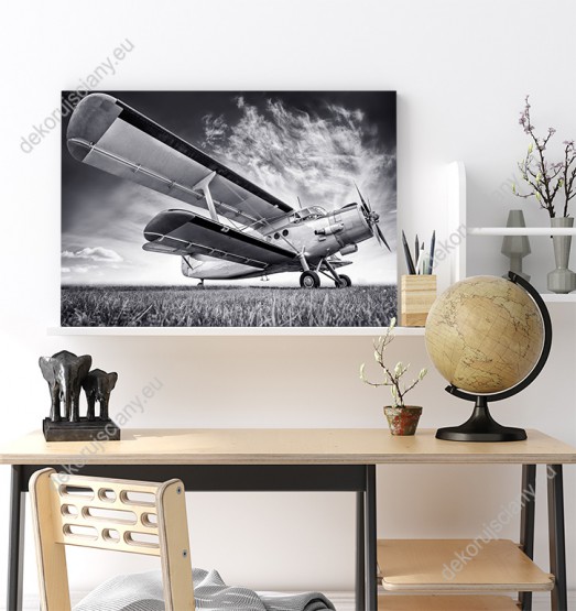Wizualizacja, czarno-biały obraz przedstawia stary samolot na tle nieba. Obraz do pokoju dziennego, sypialni, salonu, biura, gabinetu, przedpokoju i jadalni.