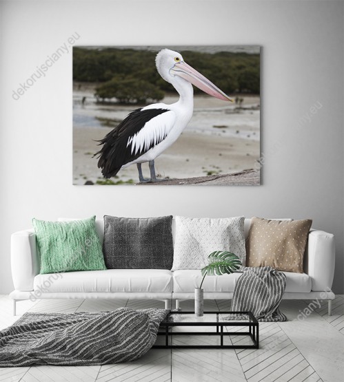 Wizualizacja obrazu z widokiem na australijskiego pelikana na egzotycznej plaży. Obraz do pokoju dziennego, dziecięcego, młodzieżowego, sypialni, salonu, biura, gabinetu, przedpokoju i jadalni.