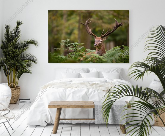 Wizualizacja obrazu do pokoju dziennego, dziecięcego, młodzieżowego, sypialni, salonu, biura, gabinetu, przedpokoju i jadalni przedstawiający jelenia na tle zielonego lasu.