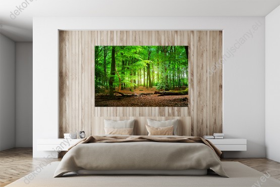 Wizualizacja, soczysta zieleń lasu o świcie ładnie zaprezentuje się na ścianie w pokoju dziennym, sypialni, salonie lub w gabinecie.