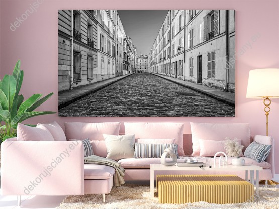 Wizualizacja, czarno-biały obraz z widokiem na paryską uliczkę. Obraz do pokoju dziennego, biura, salonu, sypialni, gabinetu, przedpokoju i jadalni.