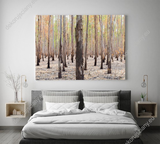 Wizualizacja obrazu z widokiem na jesienny, barwny las. Obraz do pokoju dziennego, salonu, sypialni, biura, gabinetu, przedpokoju i jadalni.