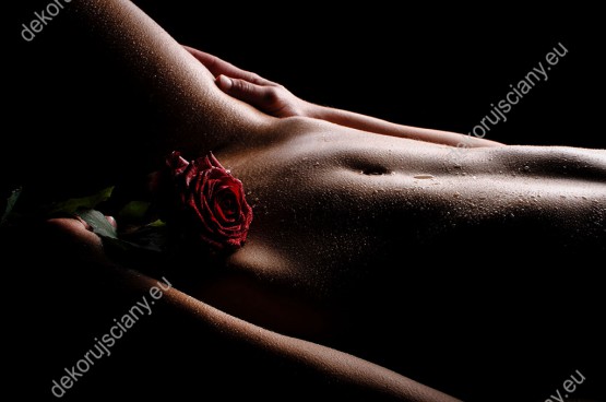 Wzornik, mokre ciało kobiety z czarowną różą. 