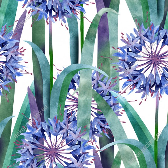 Wizualizacja tapety, piękne kwiaty agapanty w barwach niebieskich i zielonych na białym tle .