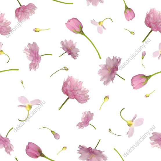 Wizualizacja tapety, różne gatunki różowych kwiatów na białym tle.