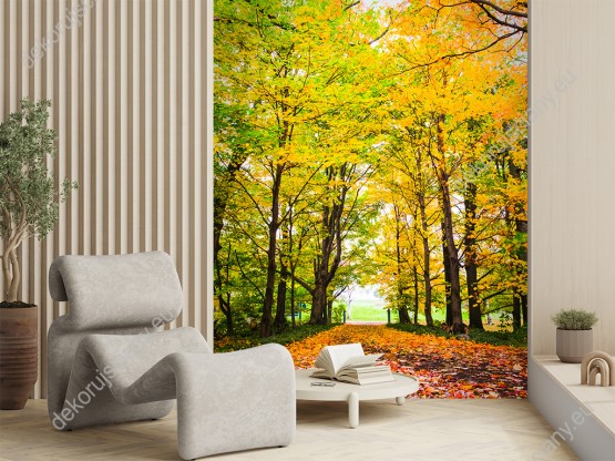 Wizualizacja fototapety z widokiem jesiennego lasu klonowego. Fototapeta przeznaczona do sypialni, salony, biura, gabinetu, pokoju młodzieżowego.