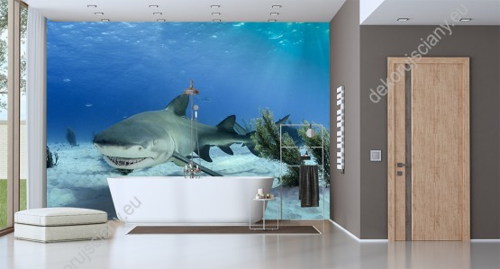 Wizualizacja fototapety ze motywem świata podwodnego przedstawia rekina odpoczywającego w głębiach oceanu. Fototapeta do pokoju dziennego, młodzieżowego, salonu, biura, gabinetu, sypialni, przedpokoju i jadalni.