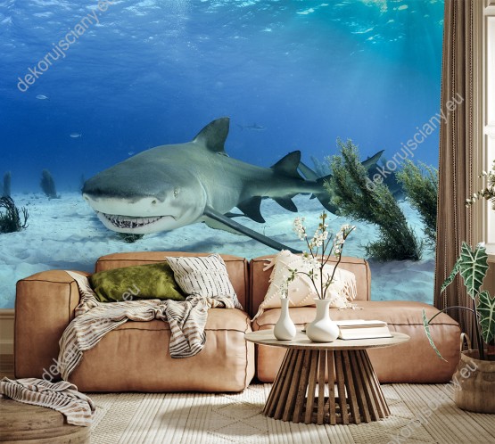 Wizualizacja fototapety ze motywem świata podwodnego przedstawia rekina odpoczywającego w głębiach oceanu. Fototapeta do pokoju dziennego, młodzieżowego, salonu, biura, gabinetu, sypialni, przedpokoju i jadalni.