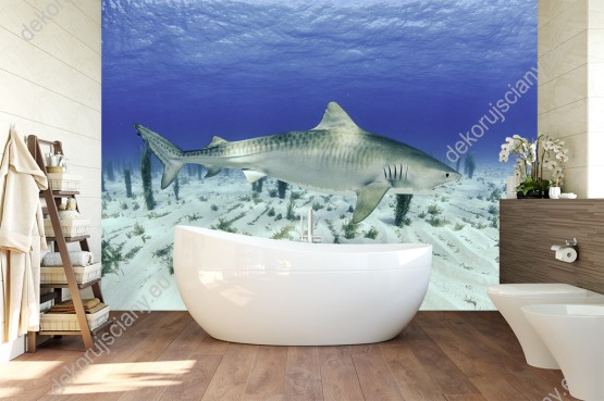 Wizualizacja fototapety przedstawia rekina w głębiach oceanu. Fototapeta do pokoju dziennego, młodzieżowego, salonu, biura, gabinetu, sypialni, przedpokoju i jadalni.